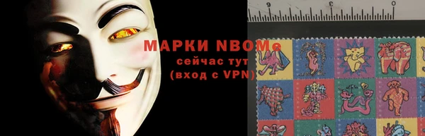 ECSTASY Алзамай