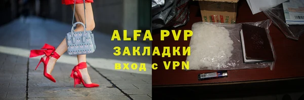 ECSTASY Алзамай