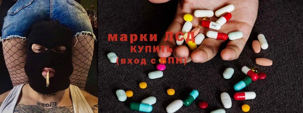 ECSTASY Алзамай