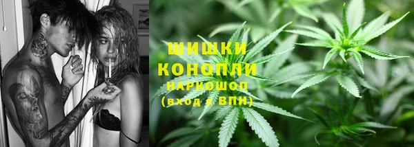 ECSTASY Алзамай